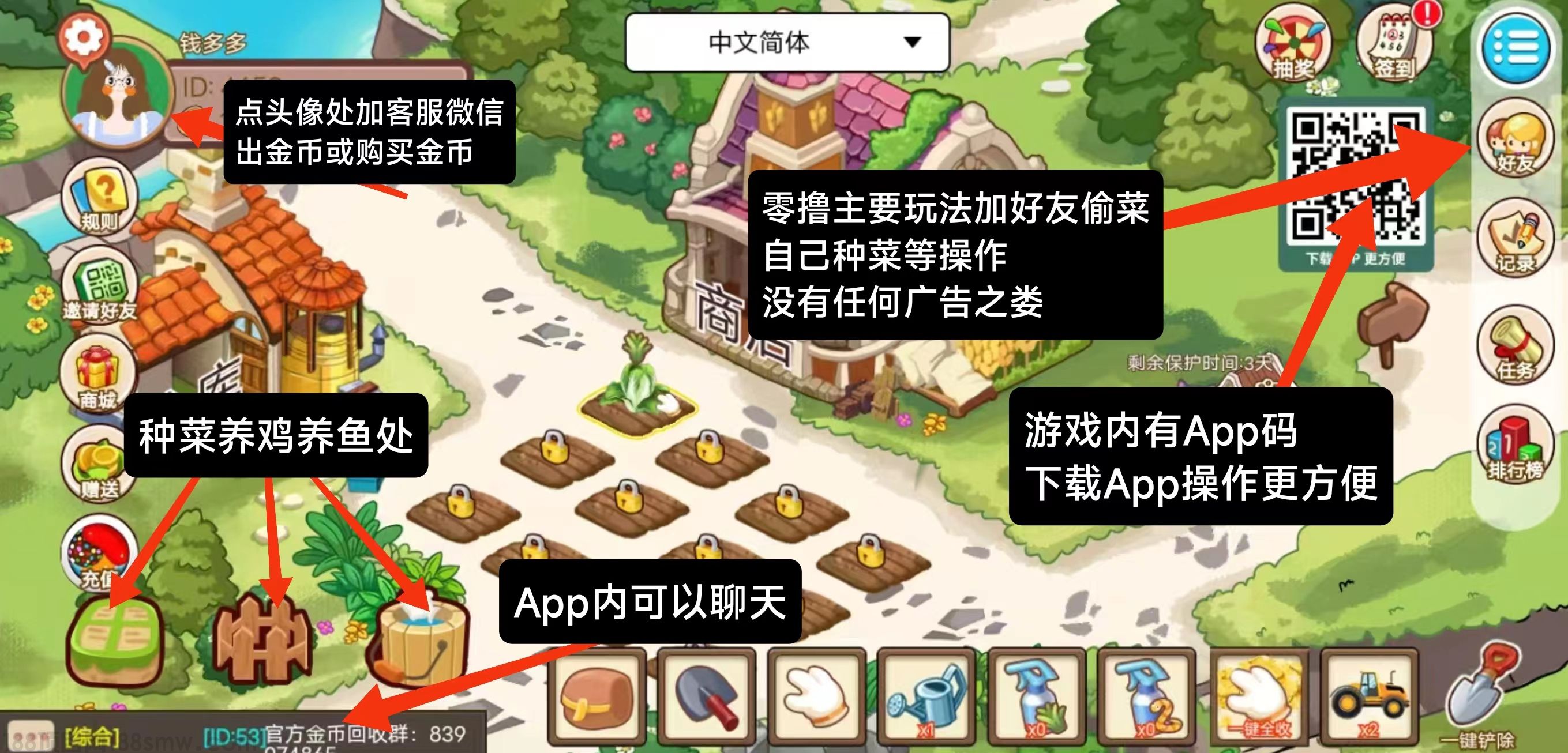 网络项目